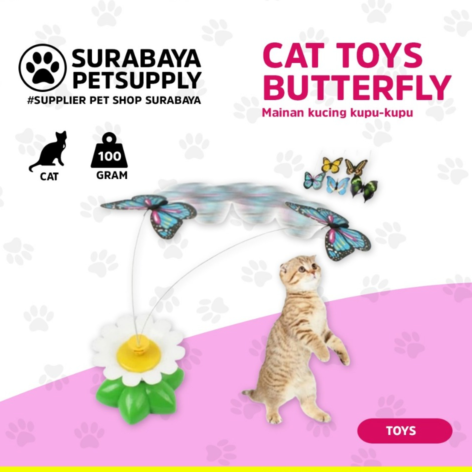 Cat toys butterfly - Mainan kucing kupu kupu - cat toy - supplier petshop surabaya - surabaya petsup