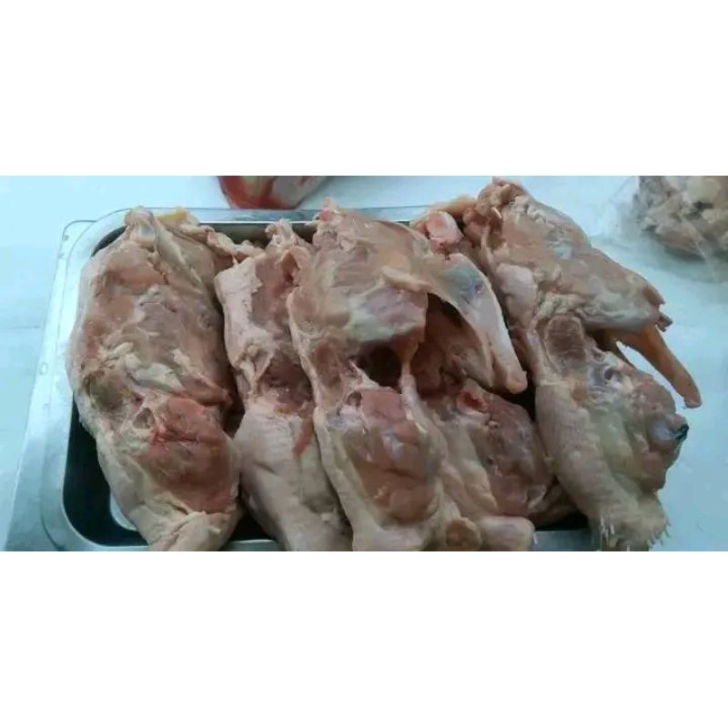 

Tulangan_Ayam_Kerongkongan
