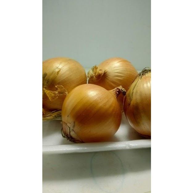 

bawang bombay segar alami 500 gram