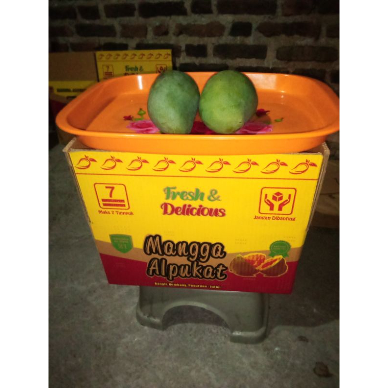 

MANGGA ALPUKAT