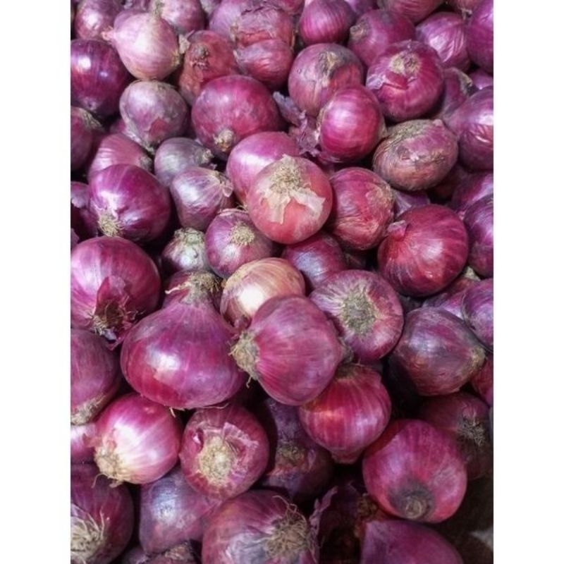 

KIRIM INSTAN Bawang merah Brebes Super berat 250 gram