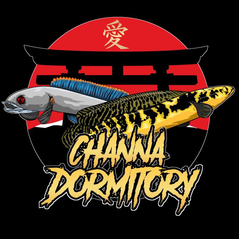 

sticker channa pulchra