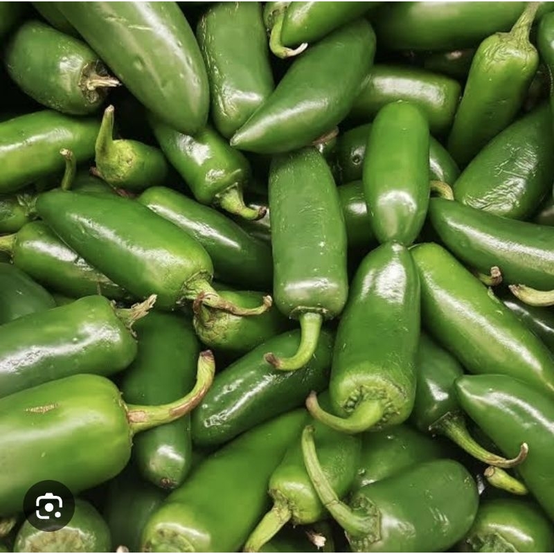 

Jalapeno Chilli Fresh 250 Gram