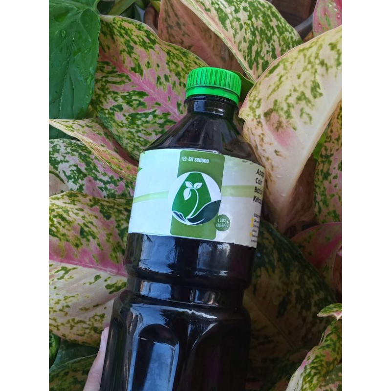 Jual Pupuk Asap Cair || Dijual Pupuk Asap Cair Batok Kelapa Grade C || Jual Pupuk Organik || Asap Ca