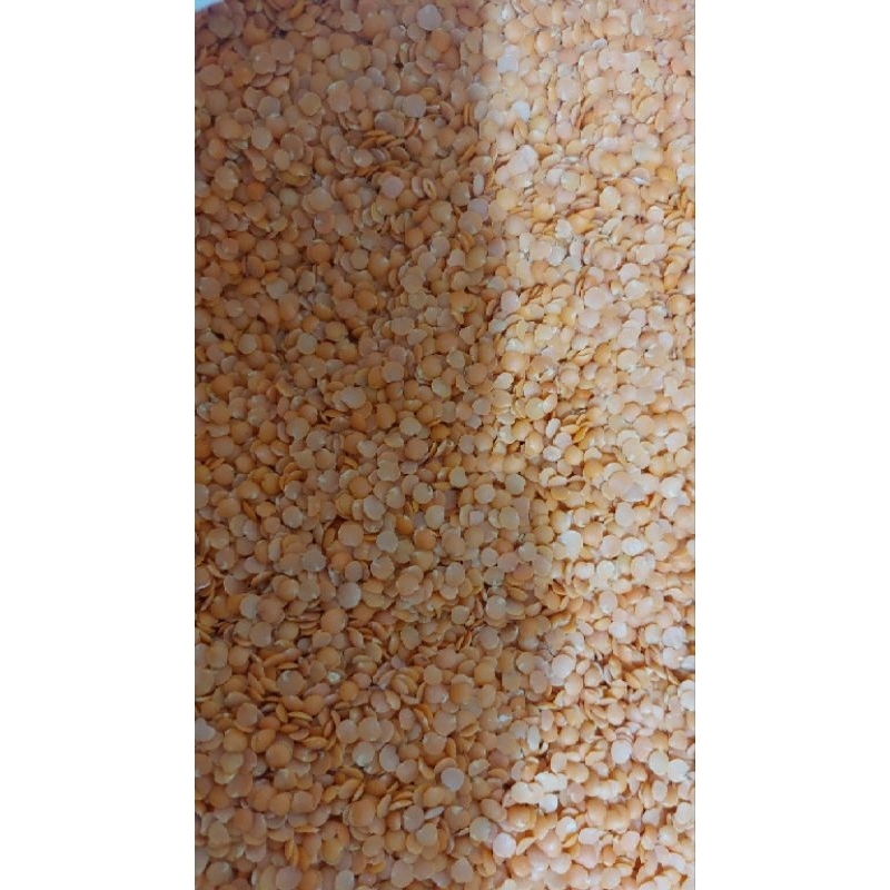 

lentil orange | adas | adas utuh