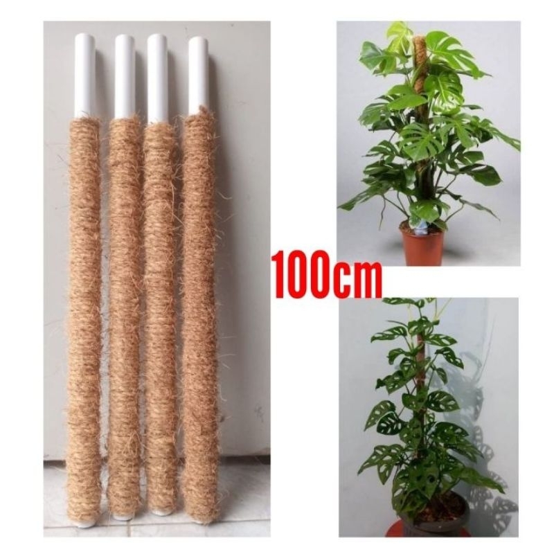 turus penyangga tanaman turus tanaman rambat