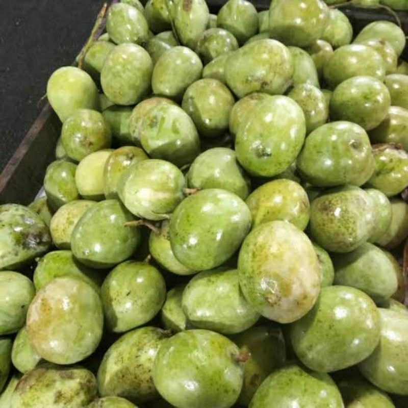 

MANGGA MUDA | MANGGA RUJAK | MANGGA MENTAH FRESH KRIUK 1 KG