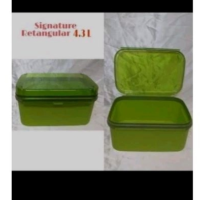 signature 4,3 L tupperware ezy keeper hijau