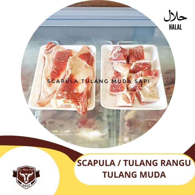 

TULANG MUDA SAPI / TANGKAR / SCAPULA 500GR