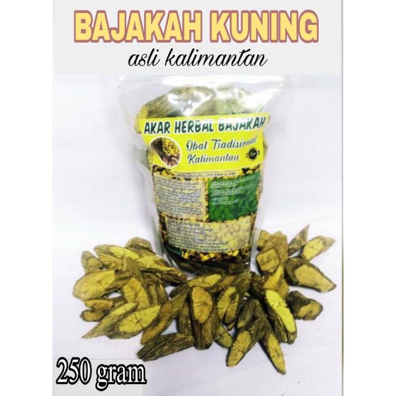

Bajakah kuning asli kalimantan