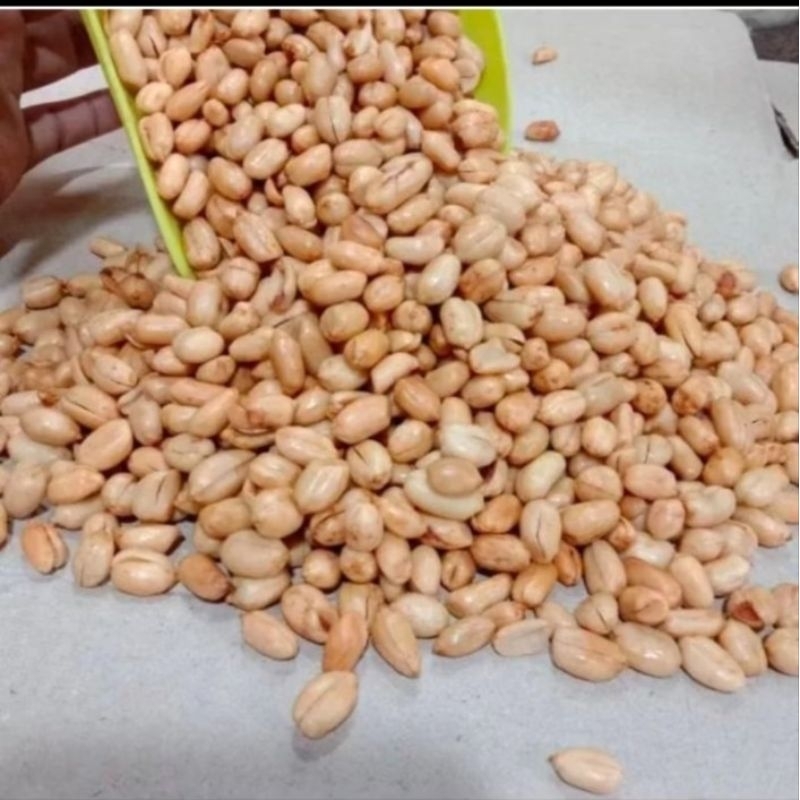 

KACANG BAWANG GORENG asli MADURA [1kg]