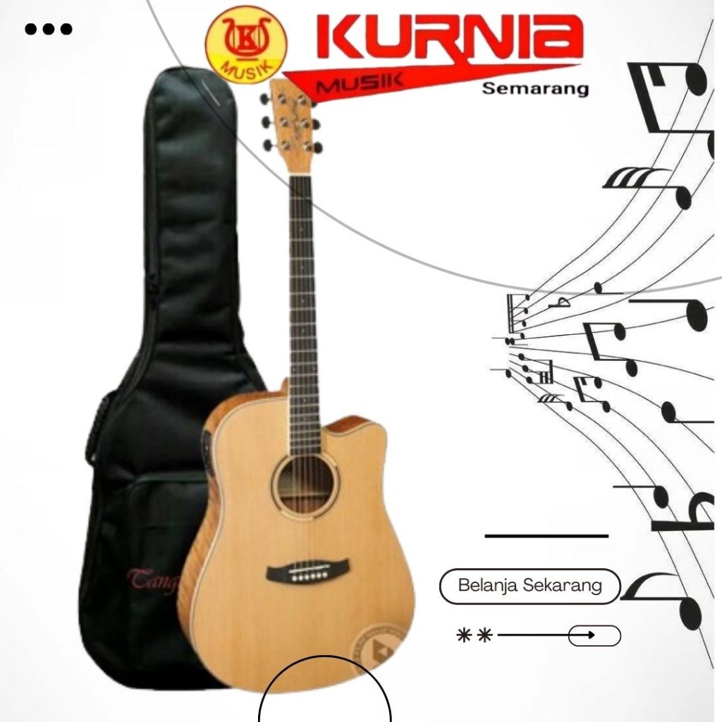 Tanglewood DBT DCE FMH Gitar Akustik Elektrik W/ Bag