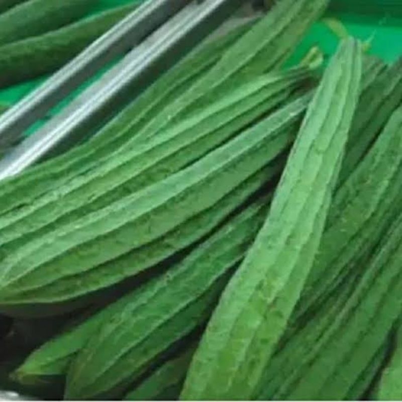 

Sayur oyong segar (500 gr - 1 kg) + FREE BONUS SAYURAN