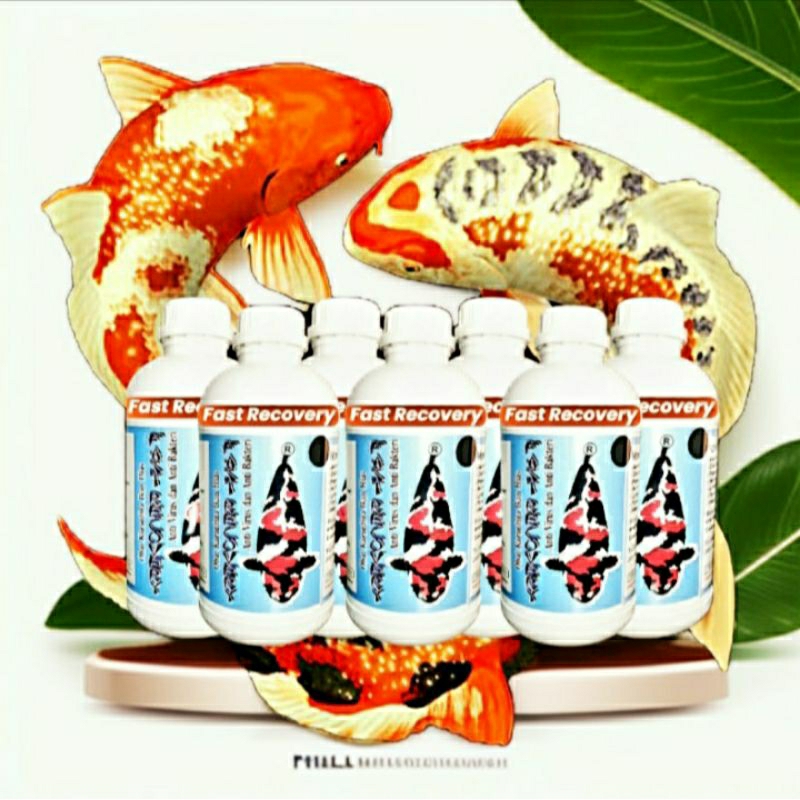 OBAT KARANTINA IKAN KOI IMPOR | FAST RECOVERY 1000ML | ANTI VIRUS & ANTI BAKTERI | PEMBASMI SEGALA P