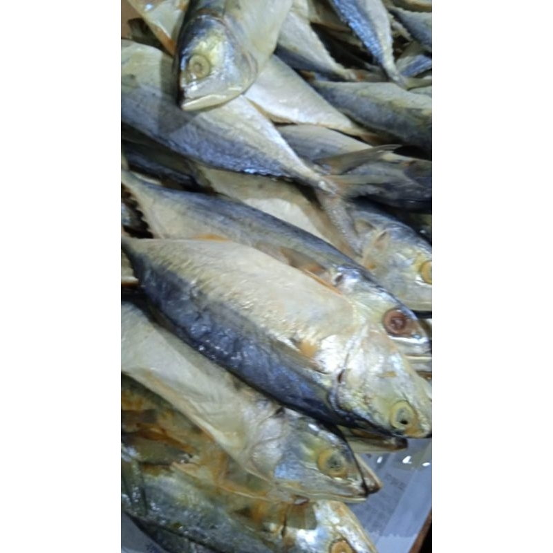 

ikan Asin Pedo/Peda kecil 1kg
