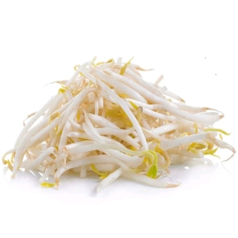 

TAUGE PANJANG/KECAMBAH (250 gr)