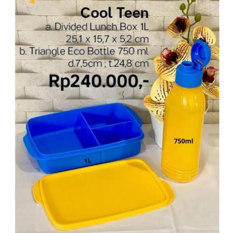 cool teen/cool teen Tupperware/bekal Tupperware/coolteen tosca/Eco bottle square/eco bottle square 5