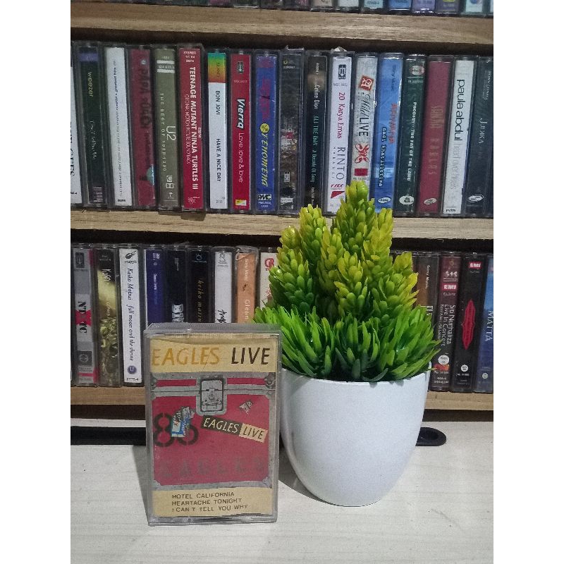 KASET THE EAGLES LIVE