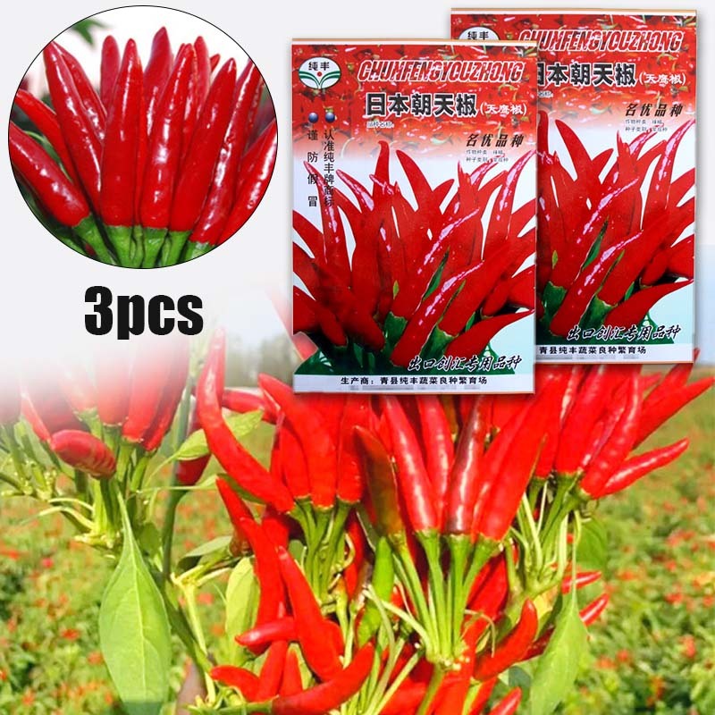 Bibit Cabe Rawit Jepang Bibit Cabe Rawit Merah Bibit Cabe Unggul 1500 Butir