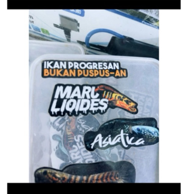 

Box stiker redbar grade