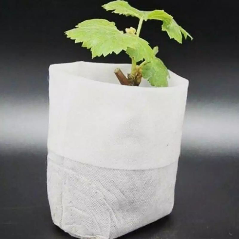 Polybag semai 20pcs Pot Biodegradable Polybag Semai Non Woven Nursery Pot Benih bibit Putih 8 x 10