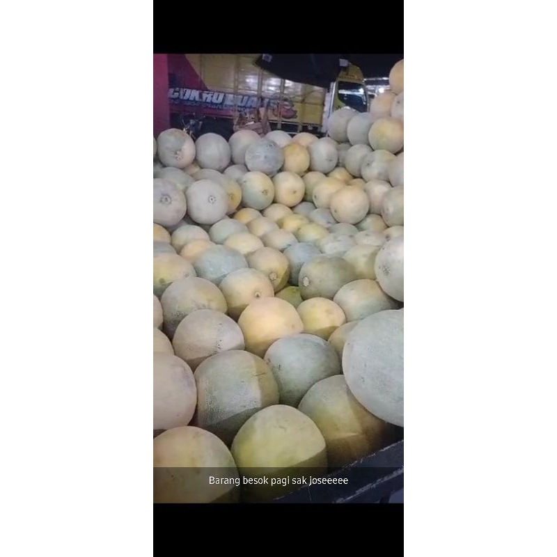 

melon segar