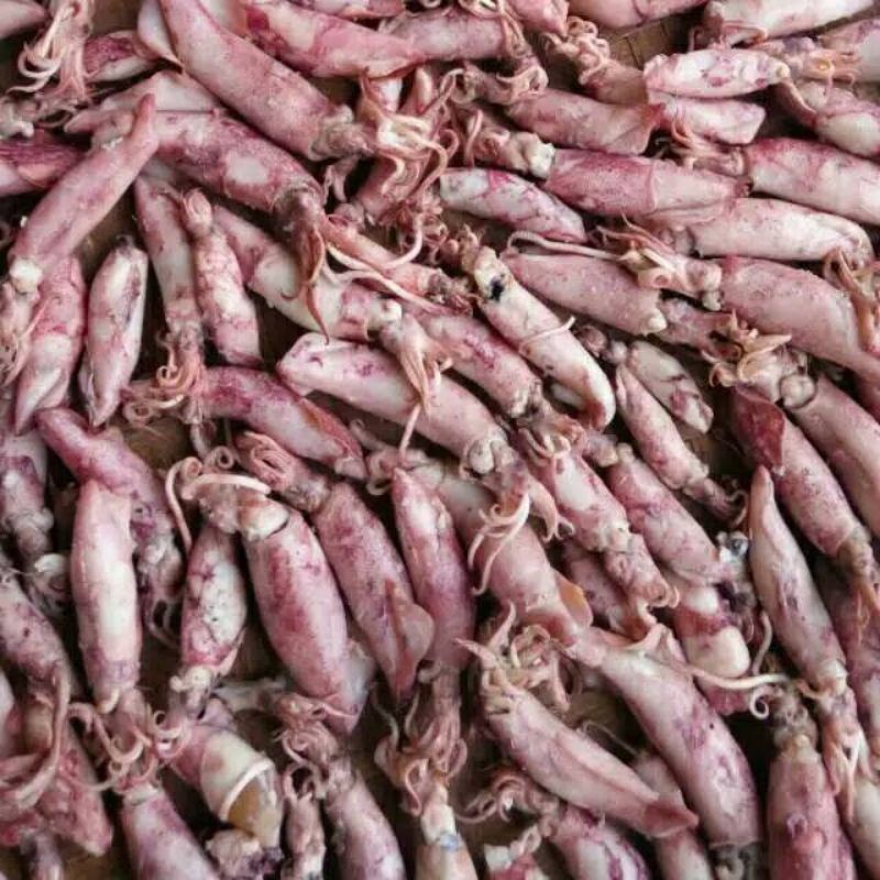 

ikan cumi kering asin/tawar