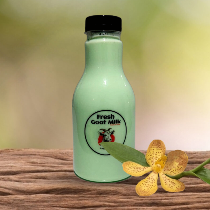

Susu Kambing Etawa Rasa Melon Murni Tanpa Bahan Pengawet 250ml