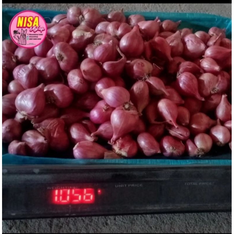

Bawang Merah Super. BRAMBANG SUPER, BAWANG MERAH