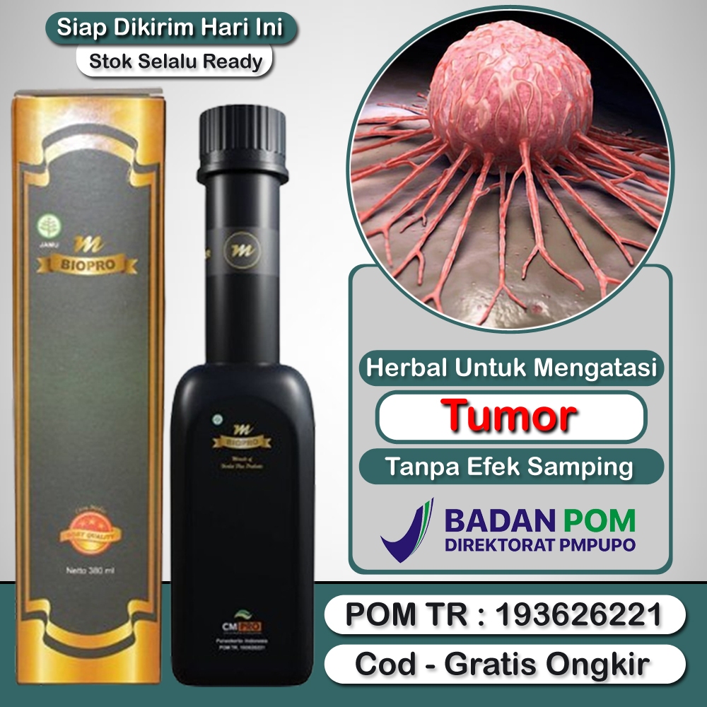 Obat Tumor Paling Ampuh - Tumor Ganas - Tumor Jinak - Tumor Badan - Benjolan Tumor - Mbiopro Asli Or
