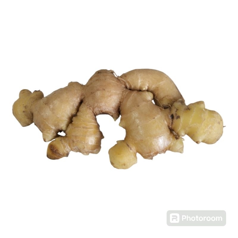 

Jahe Seger - 100 gram/pak