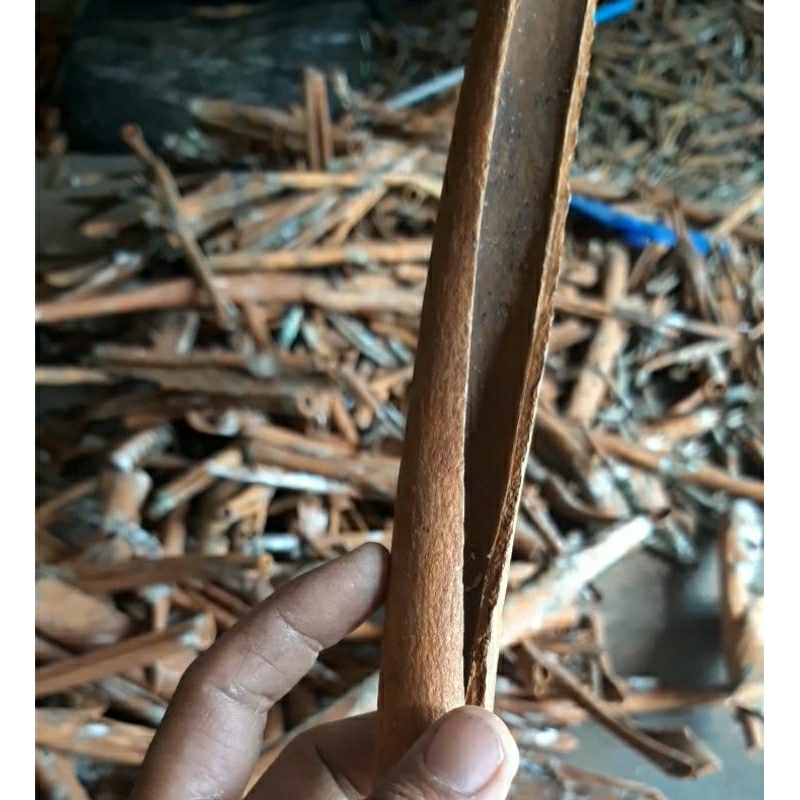 

KAYU MANIS CINNAMON stick MURNI 100% murah kualitas bagus