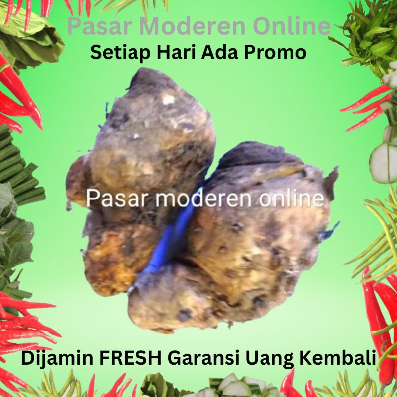 

TEMULAWAK) BUMBU DAPUR/BUMBU REMPAH-250 GRAM