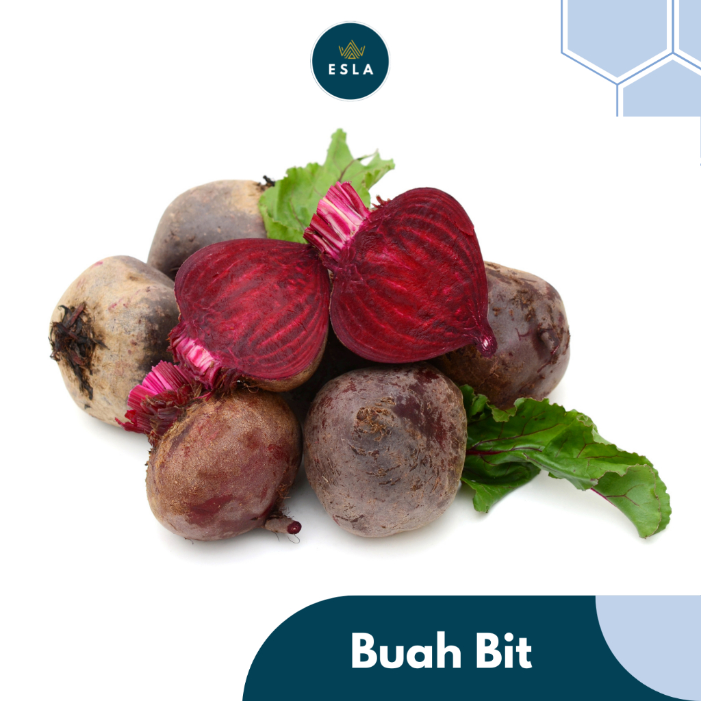 

BUAH BIT I Buah Fresh dan Premium - ESLA
