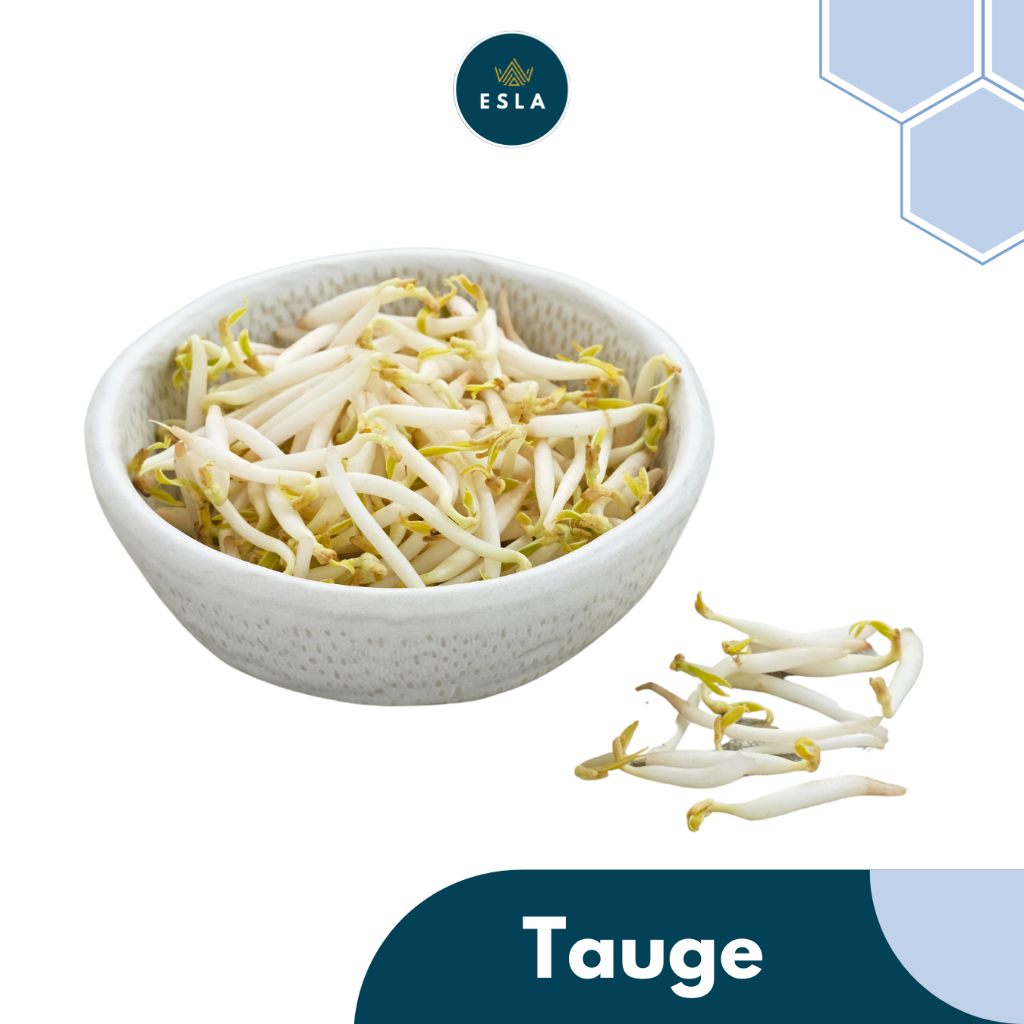 

TAUGE I Sayur Fresh dan Premium - ESLA
