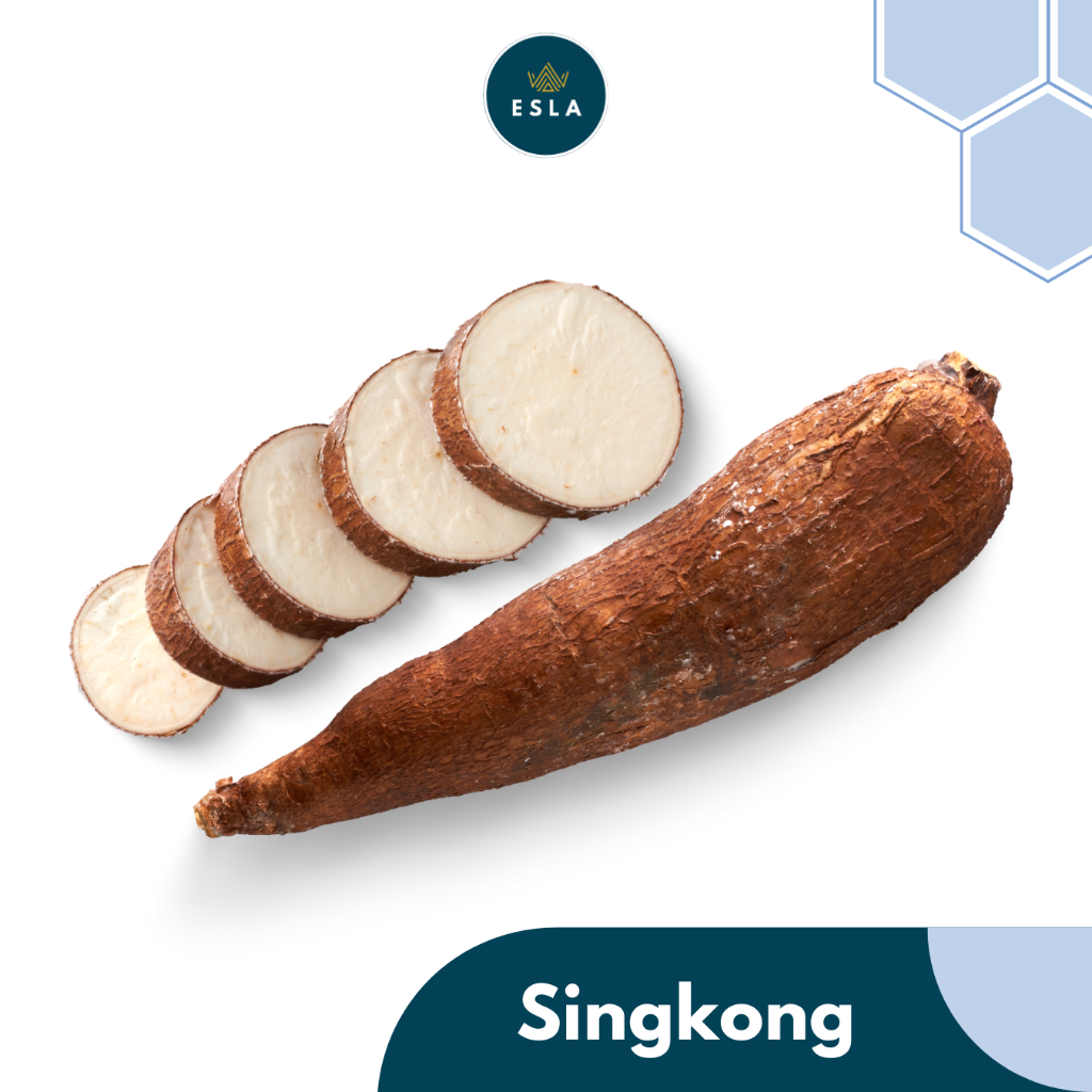 

SINGKONG 1 KG I Buah Fresh dan Premium - ESLA