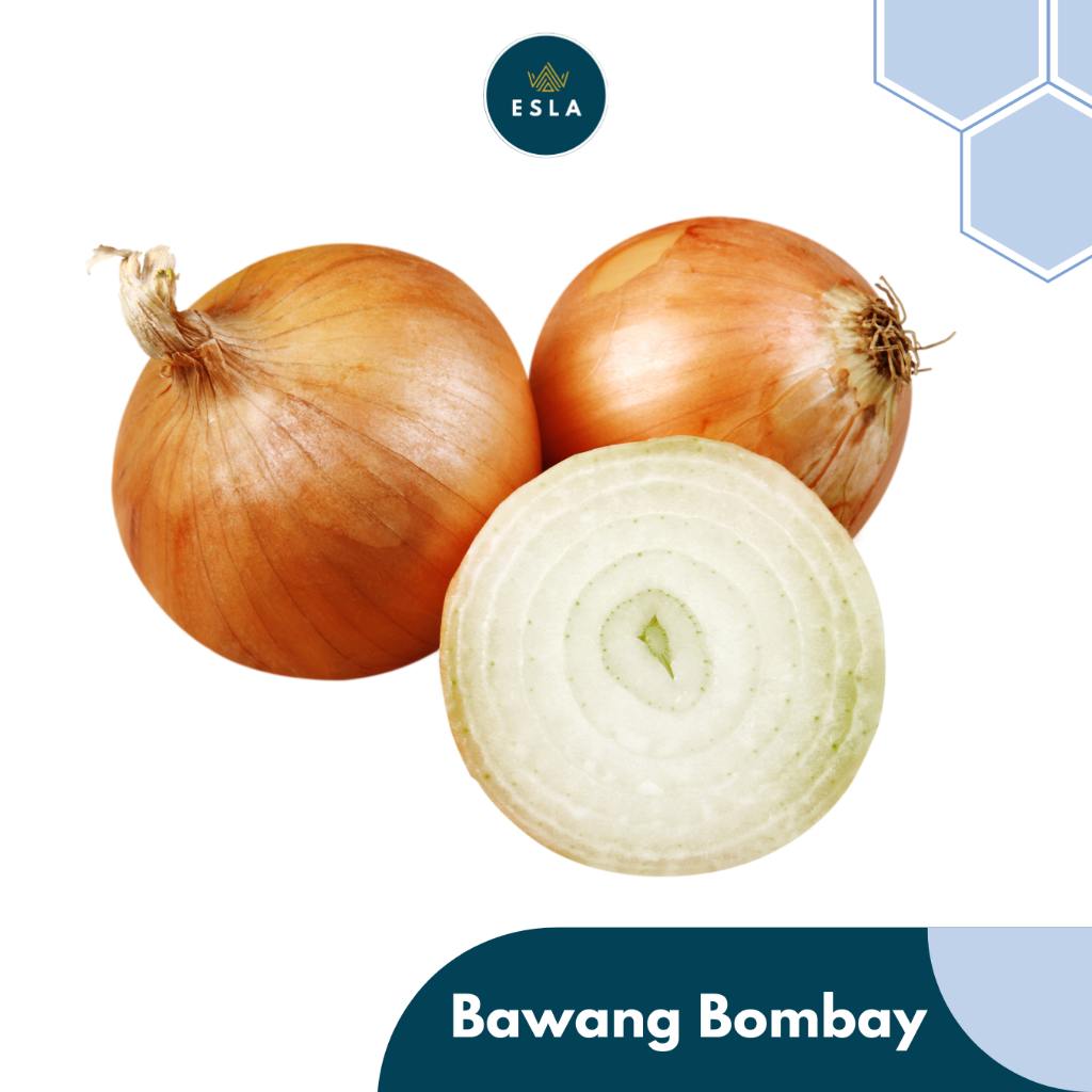 

BAWANG BOMBAY I Fresh dan Premium - ESLA