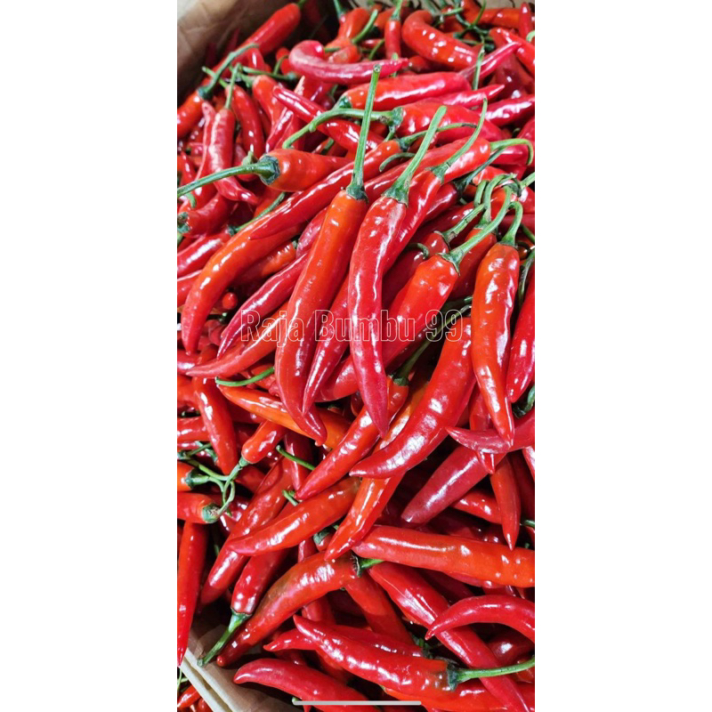 

CABE MERAH BESAR 500gr