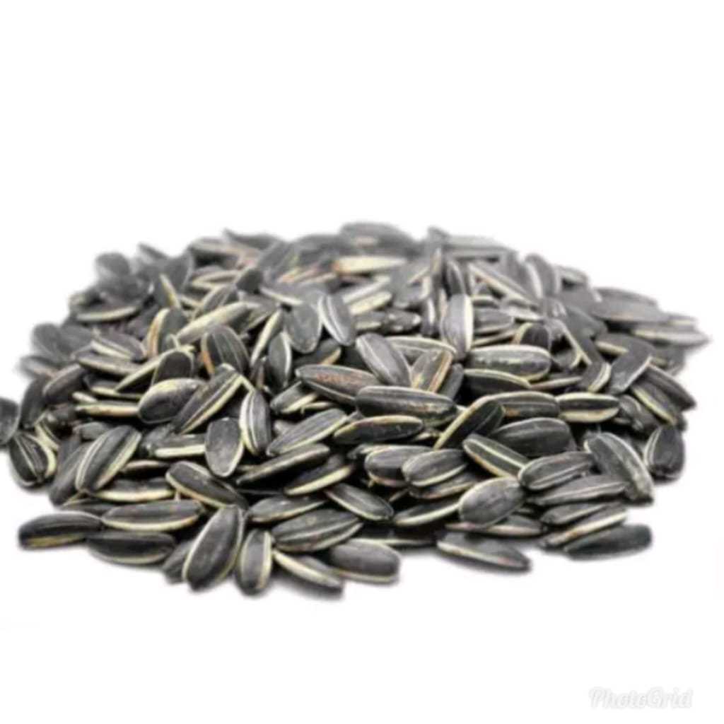 

KWACI 60GR 3AM