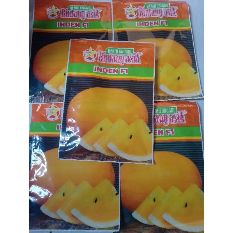 

BENIH*SEMNAGKA*INDENF1*BERBIJI