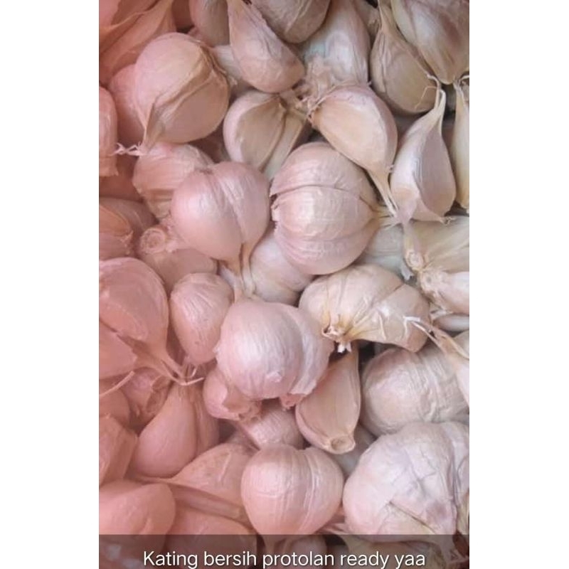 

bawang putih kating bersih 1kg / 500gr
