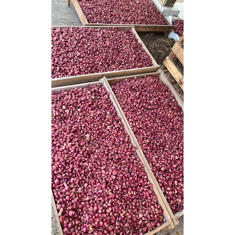(NEW) READY STOCK 1KG BAWANG MERAH FRESH PETANI