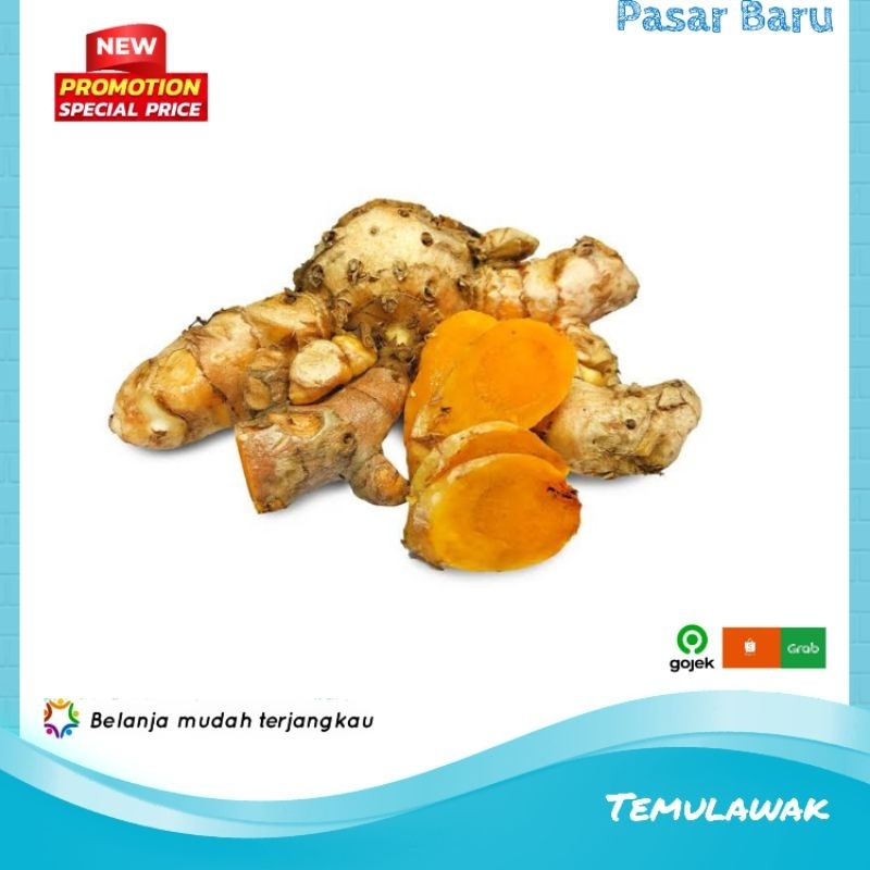 

Temulawak • Murah | Pasar Baru Makassar