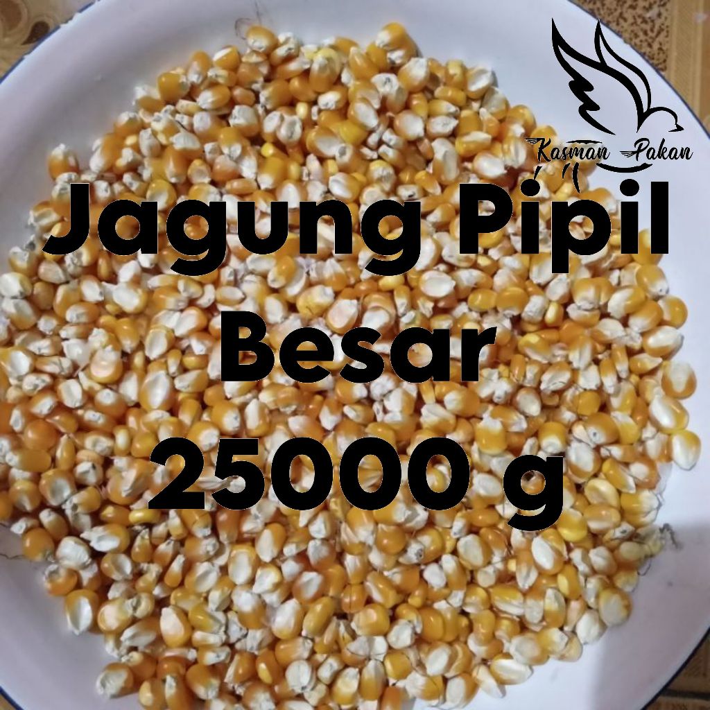 Jagung Pipil Besar Burung Merpati 25 kg