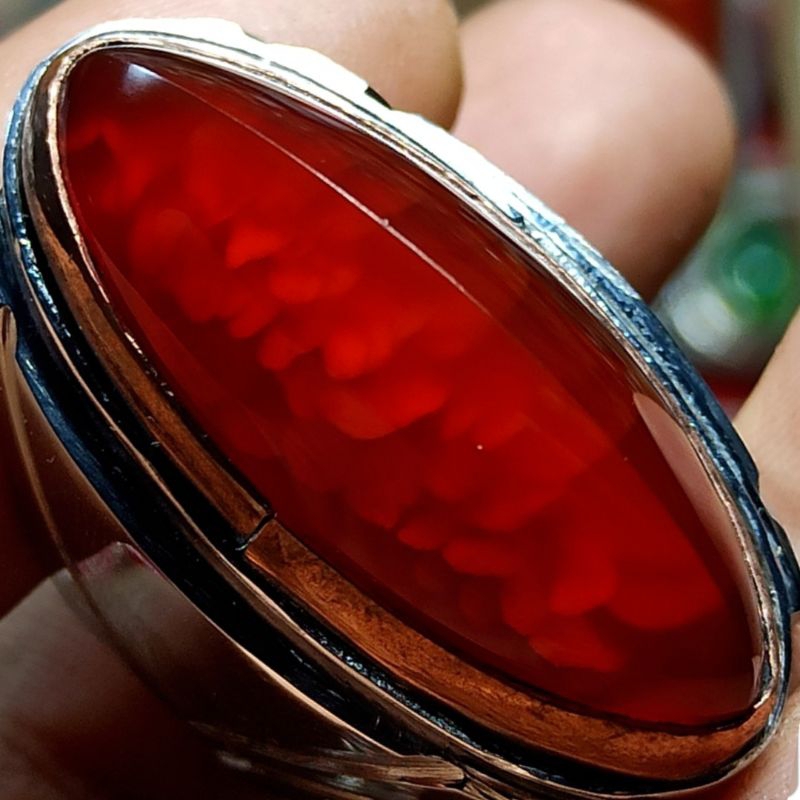 PANDAN MERAH SISIK BETOK