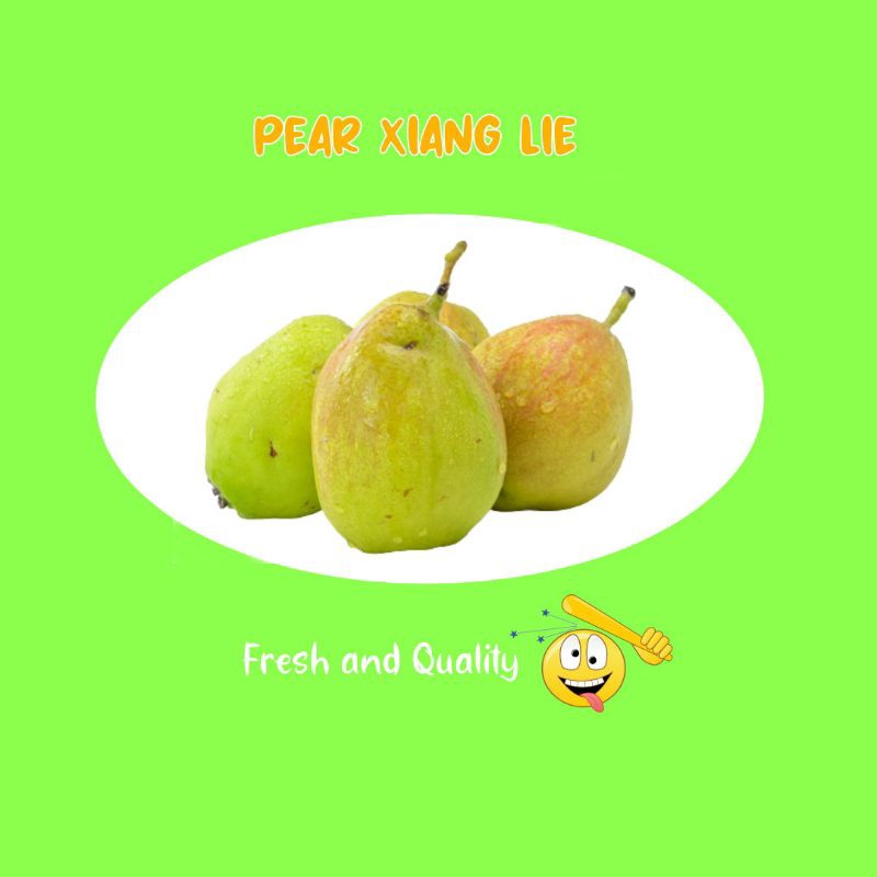 

BUAH PIER XIANG LIE