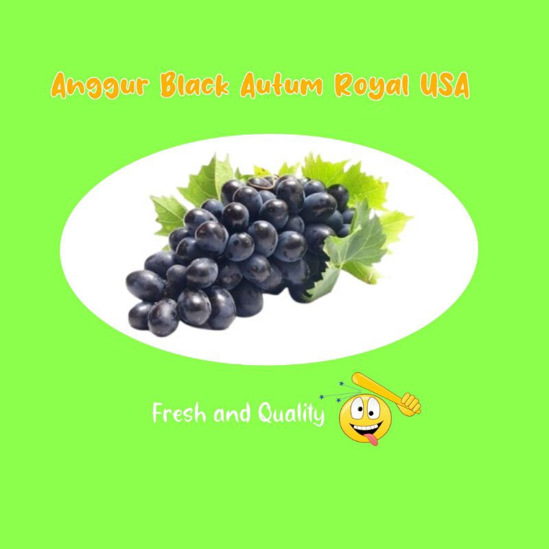 

Anggur Black Autum Royal USA