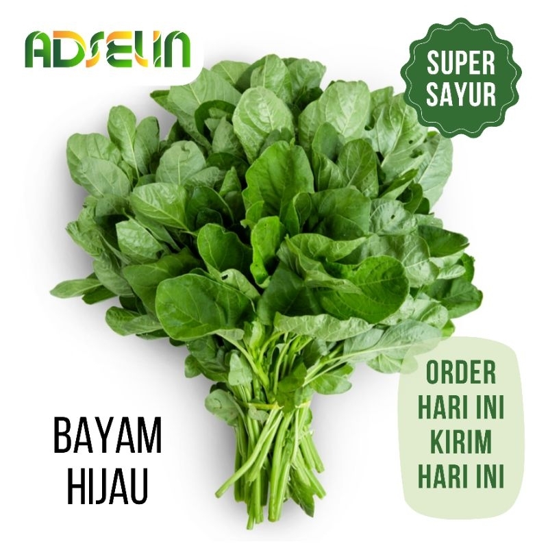 

Sayur Bayam Hijau 1 Ikat Sayuan Segar