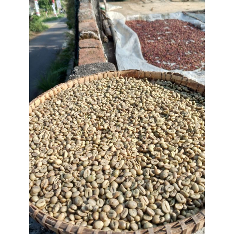 

kopirobustagreenbean