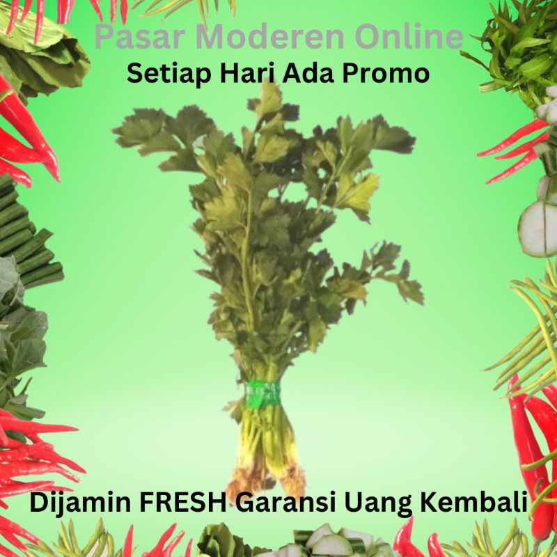 

DAUN SELEDRI BUMBU DAPUR REMPAH SEGAR 100 GRAM